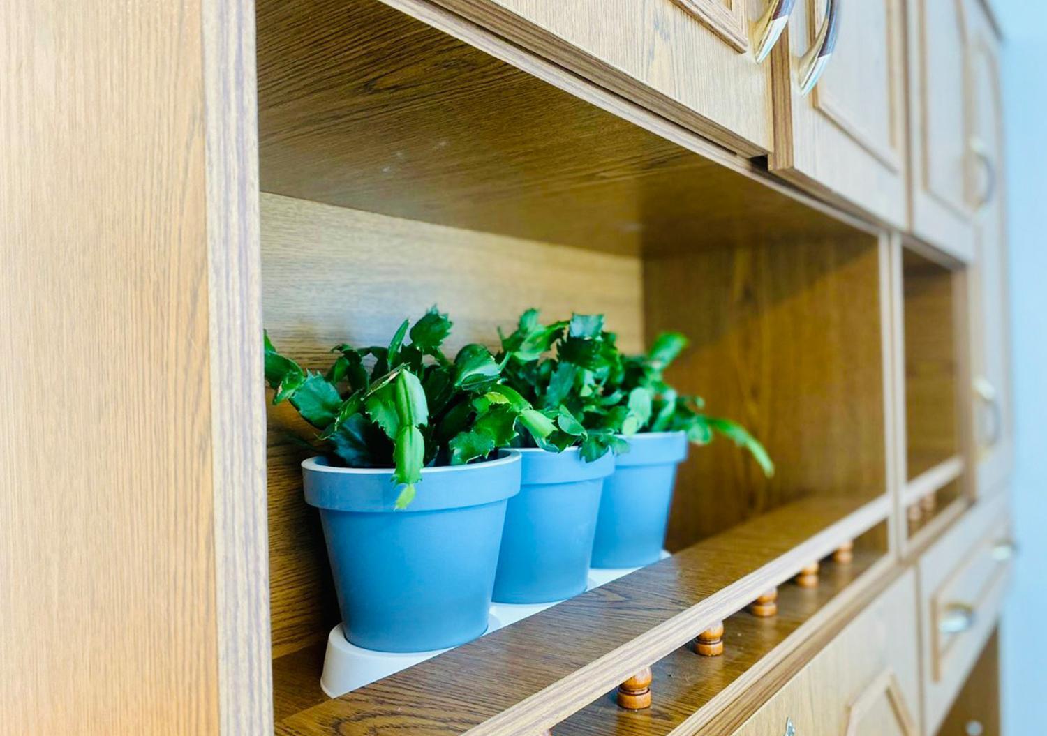 Green Studio Praha 2 L Ground Floor Free Parking Екстериор снимка