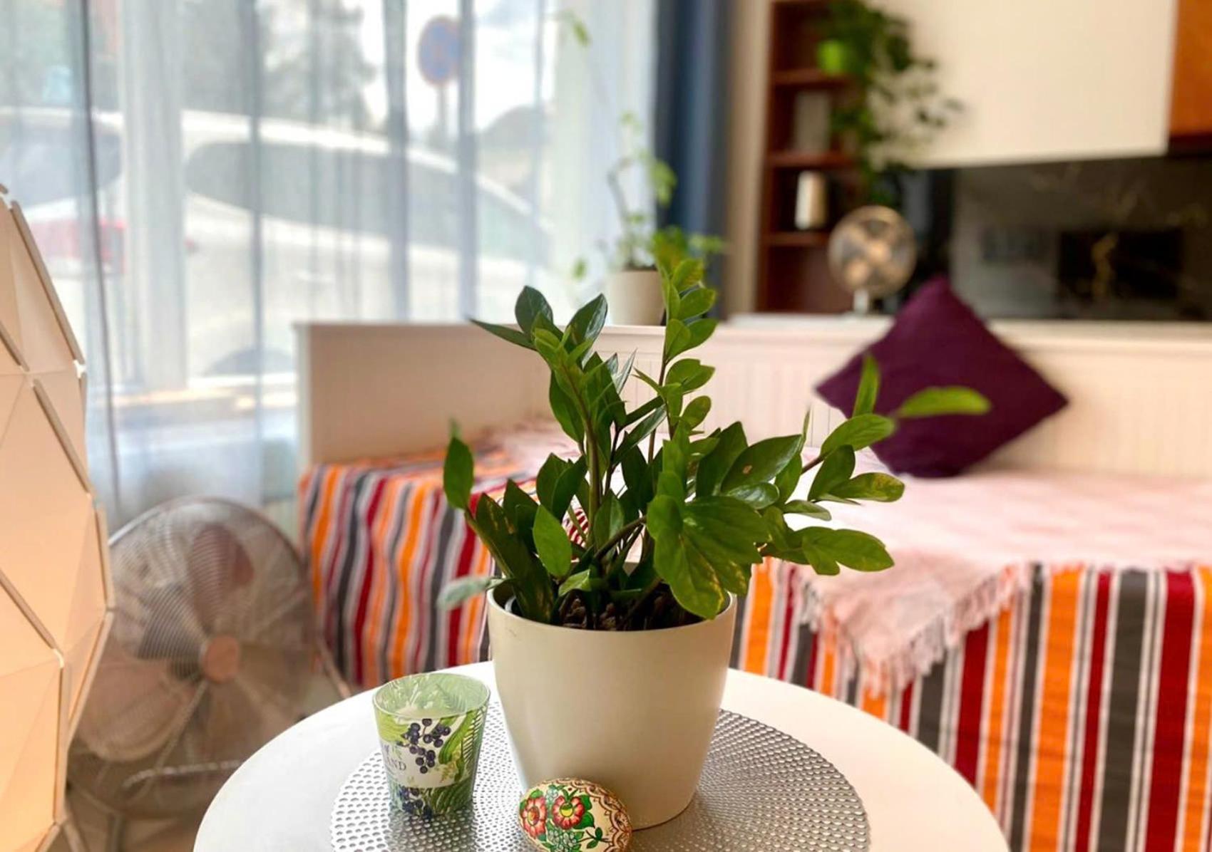 Green Studio Praha 2 L Ground Floor Free Parking Екстериор снимка